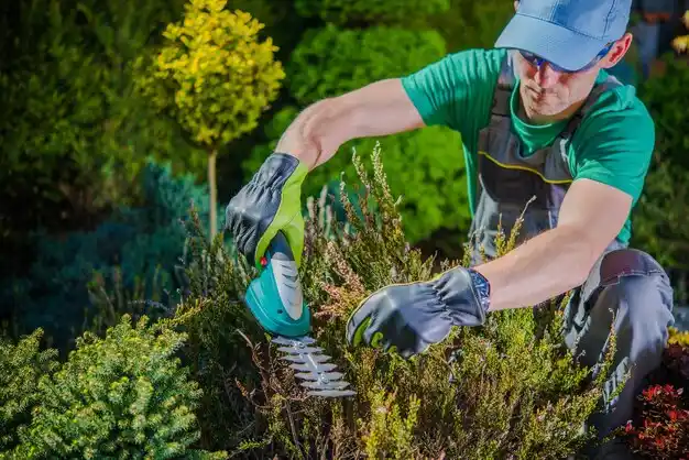 landscaping services West Ishpeming